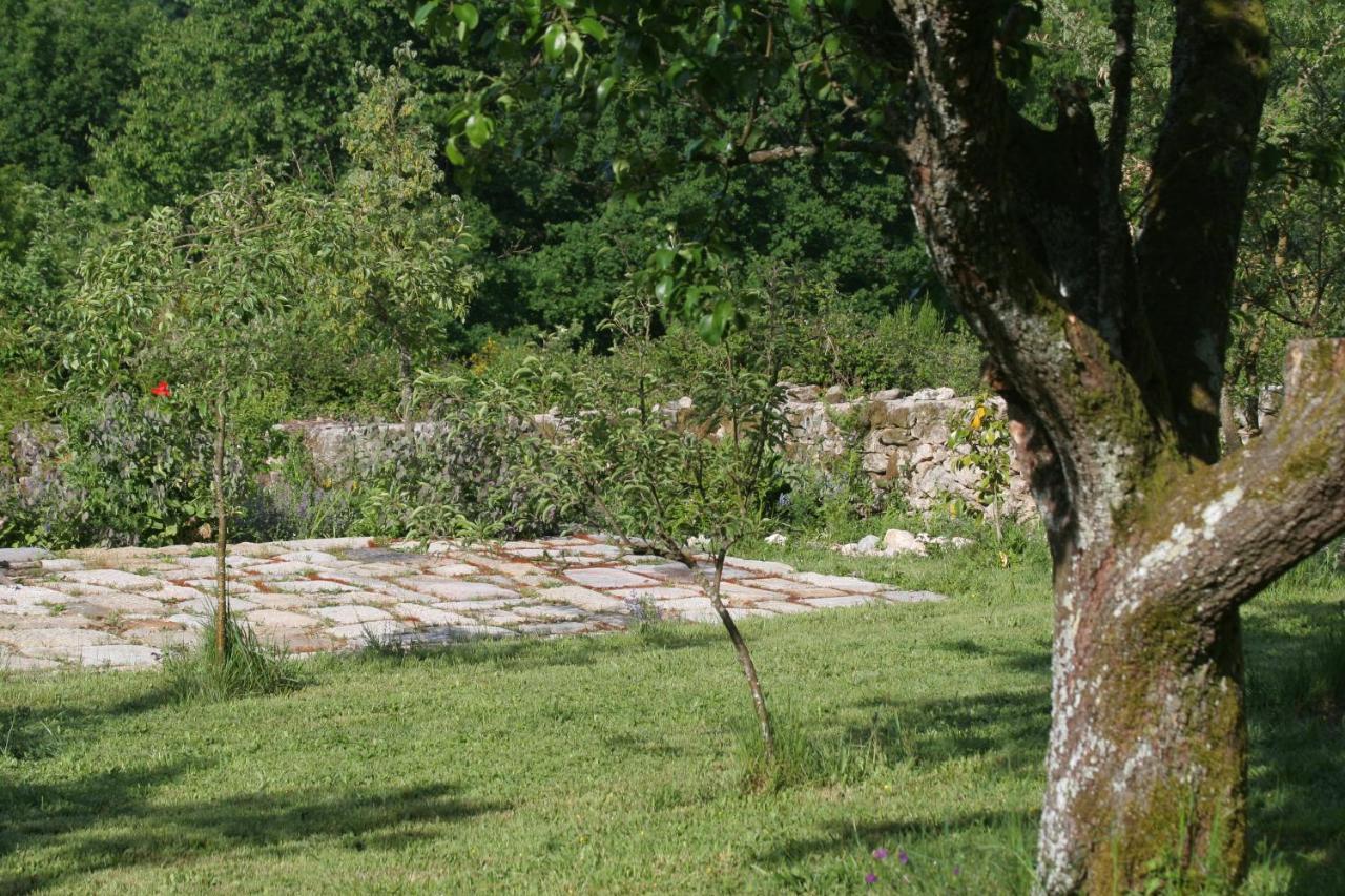 Pazo De Chaioso Ribeira Sacra Maceda Екстериор снимка