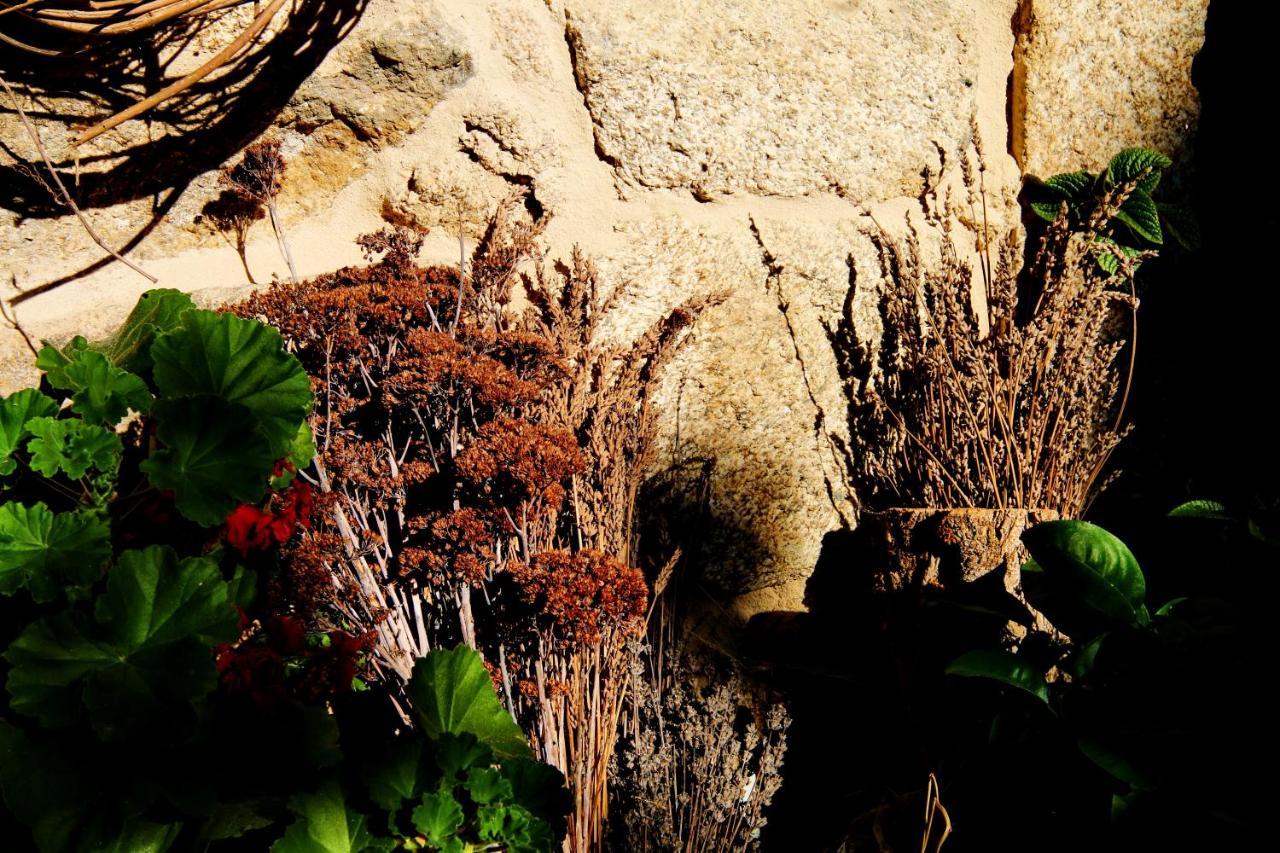 Pazo De Chaioso Ribeira Sacra Maceda Екстериор снимка